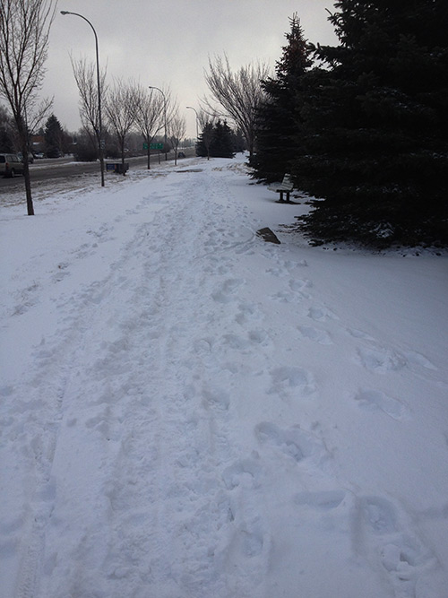 Scenic Drive Walkway